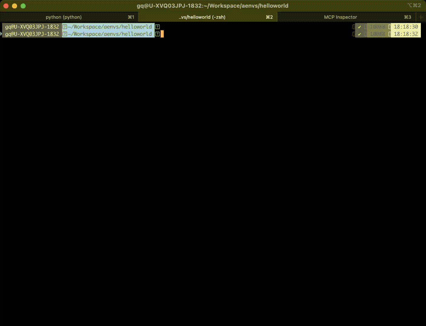 Local Runtime Environment